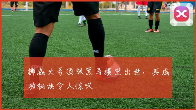 挪威头号顶级黑马横空出世，其成功秘诀令人惊叹